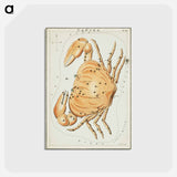 アートポストカード-Sidney Hall’s astronomical chart illustration of the zodiac Cancer - アンティーク地図 Postcard.