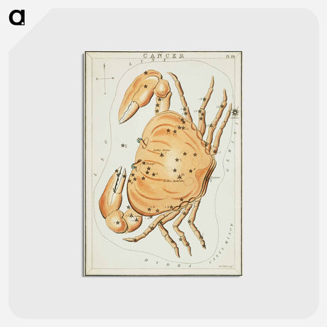 アートポストカード-Sidney Hall’s astronomical chart illustration of the zodiac Cancer - アンティーク地図 Postcard.