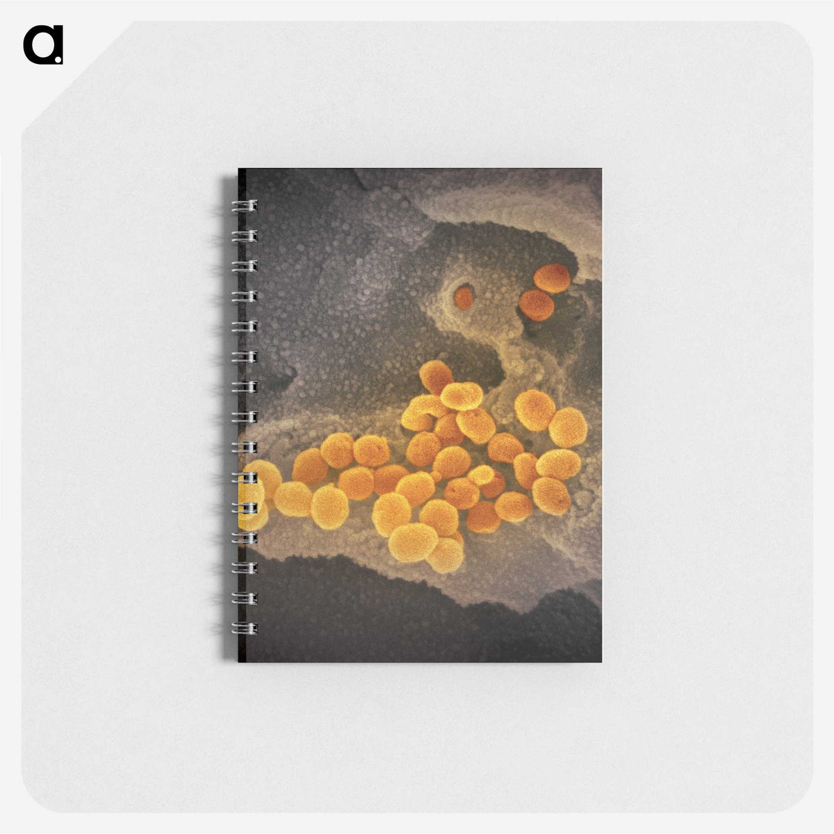 2-60_COVID-19_memo