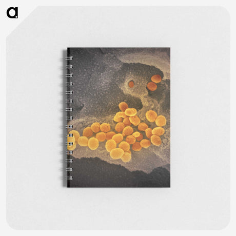 2-60_COVID-19_memo