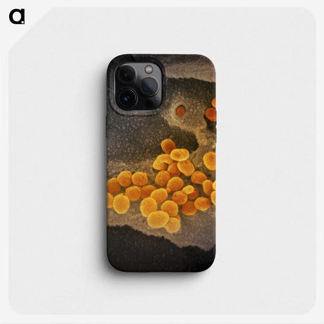 2-60_COVID-19_phone