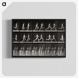 2-60_Eadweard-Muybridge_blk-crop