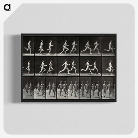 2-60_Eadweard-Muybridge_blk-crop