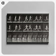 2-60_Eadweard-Muybridge_canvas