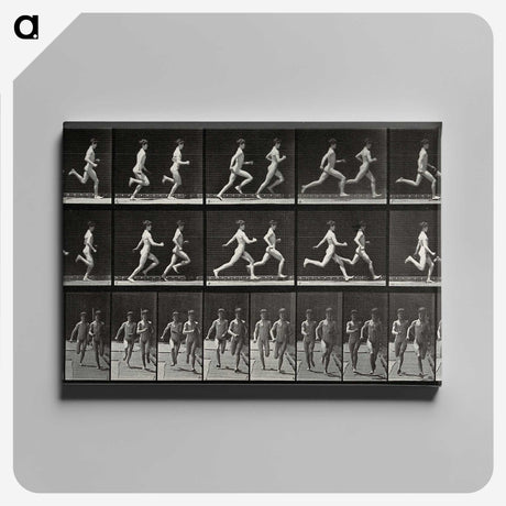 2-60_Eadweard-Muybridge_canvas