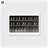 アートポストカード-Running Adolescents
 - エドワード マイブリッジ Postcard.