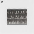 2-60_Eadweard-Muybridge_memo