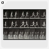 2-60_Eadweard-Muybridge_picture-crop