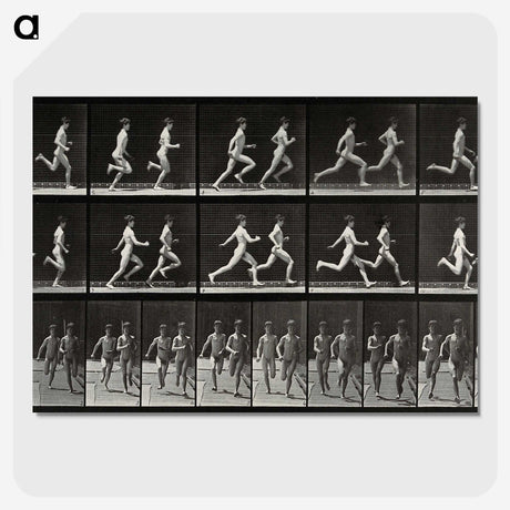 2-60_Eadweard-Muybridge_picture-crop