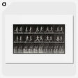 2-60_Eadweard-Muybridge_picture