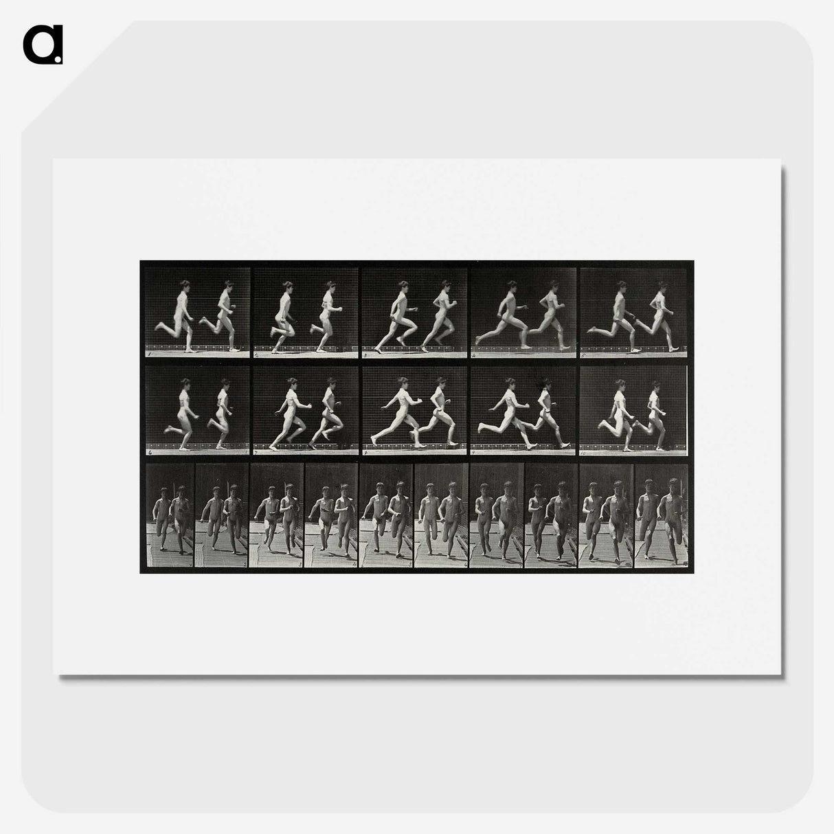 2-60_Eadweard-Muybridge_picture