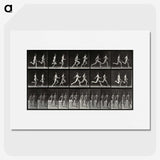 2-60_Eadweard-Muybridge_picture