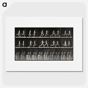 2-60_Eadweard-Muybridge_picture
