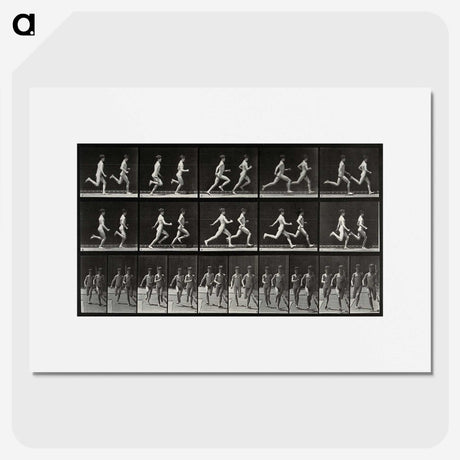 2-60_Eadweard-Muybridge_picture