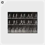 アートポストカード-Running Adolescents
 - エドワード マイブリッジ Postcard.