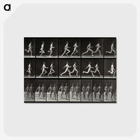 2-60_Eadweard-Muybridge_postcard