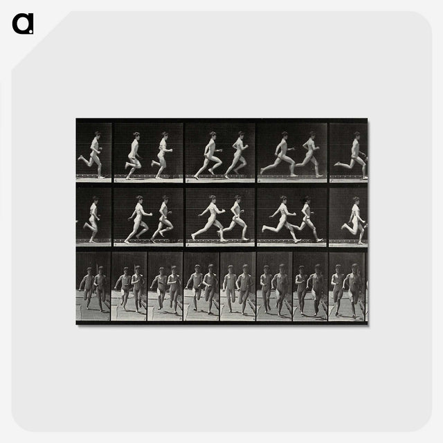 2-60_Eadweard-Muybridge_postcard