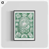 2-60_Ernst-Haeckel_blk-crop