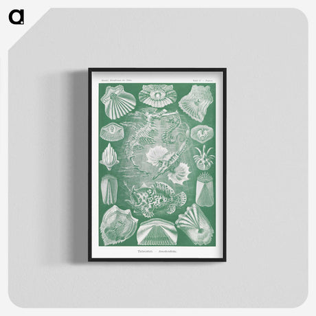2-60_Ernst-Haeckel_blk-crop