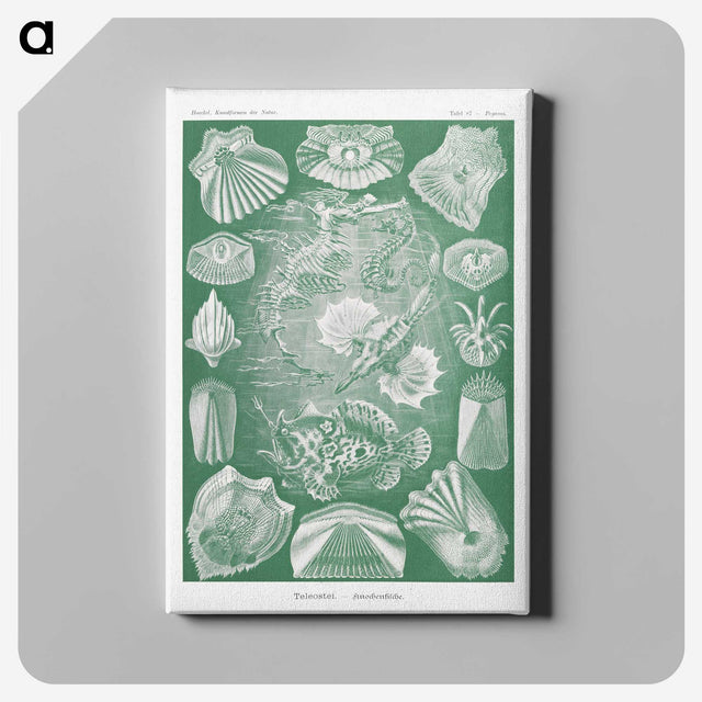 2-60_Ernst-Haeckel_canvas