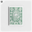 2-60_Ernst-Haeckel_memo