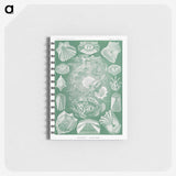 2-60_Ernst-Haeckel_memo