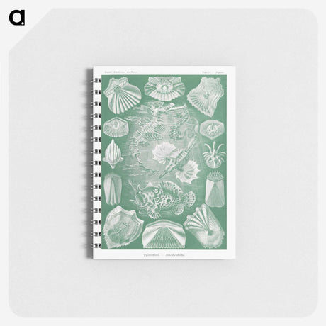 2-60_Ernst-Haeckel_memo
