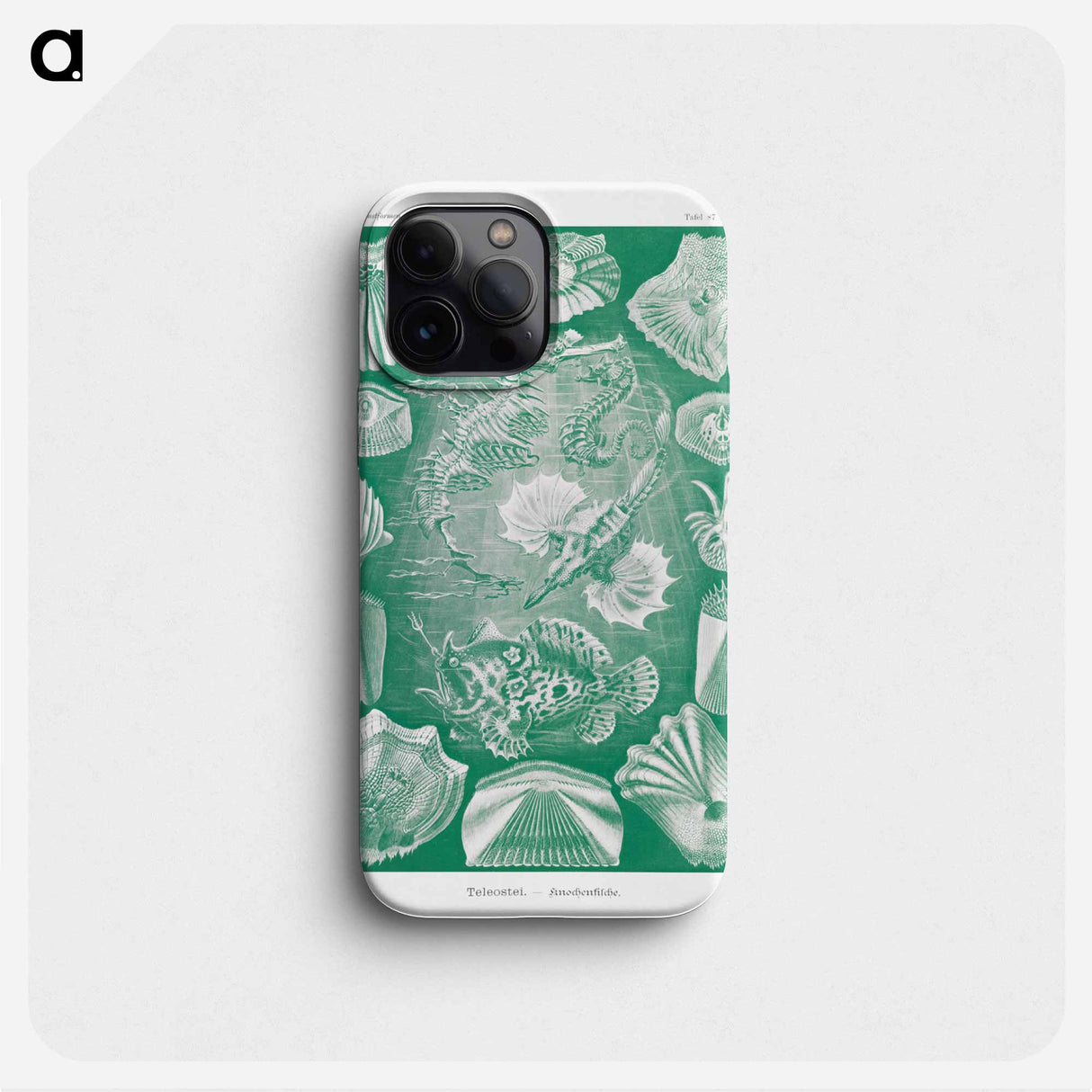 Teleostei–Knochenfische - エルンスト ヘッケル Phone Case.