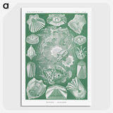 2-60_Ernst-Haeckel_picture-crop