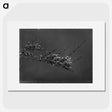 2-60_Frederick-Charles-Brockett_picture