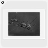 2-60_Frederick-Charles-Brockett_picture