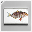 2-60_Ichtyologie-ou-Histoire-naturelle_canvas