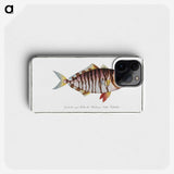 2-60_Ichtyologie-ou-Histoire-naturelle_phone