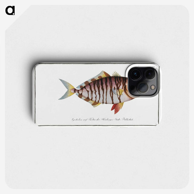 2-60_Ichtyologie-ou-Histoire-naturelle_phone