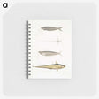 2-60_Indian-Zoology_memo