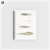 2-60_Indian-Zoology_memo