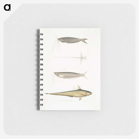 2-60_Indian-Zoology_memo