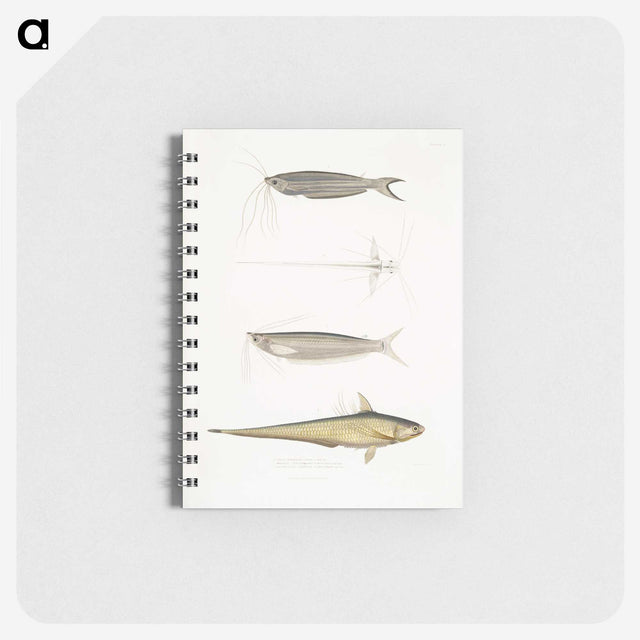 2-60_Indian-Zoology_memo