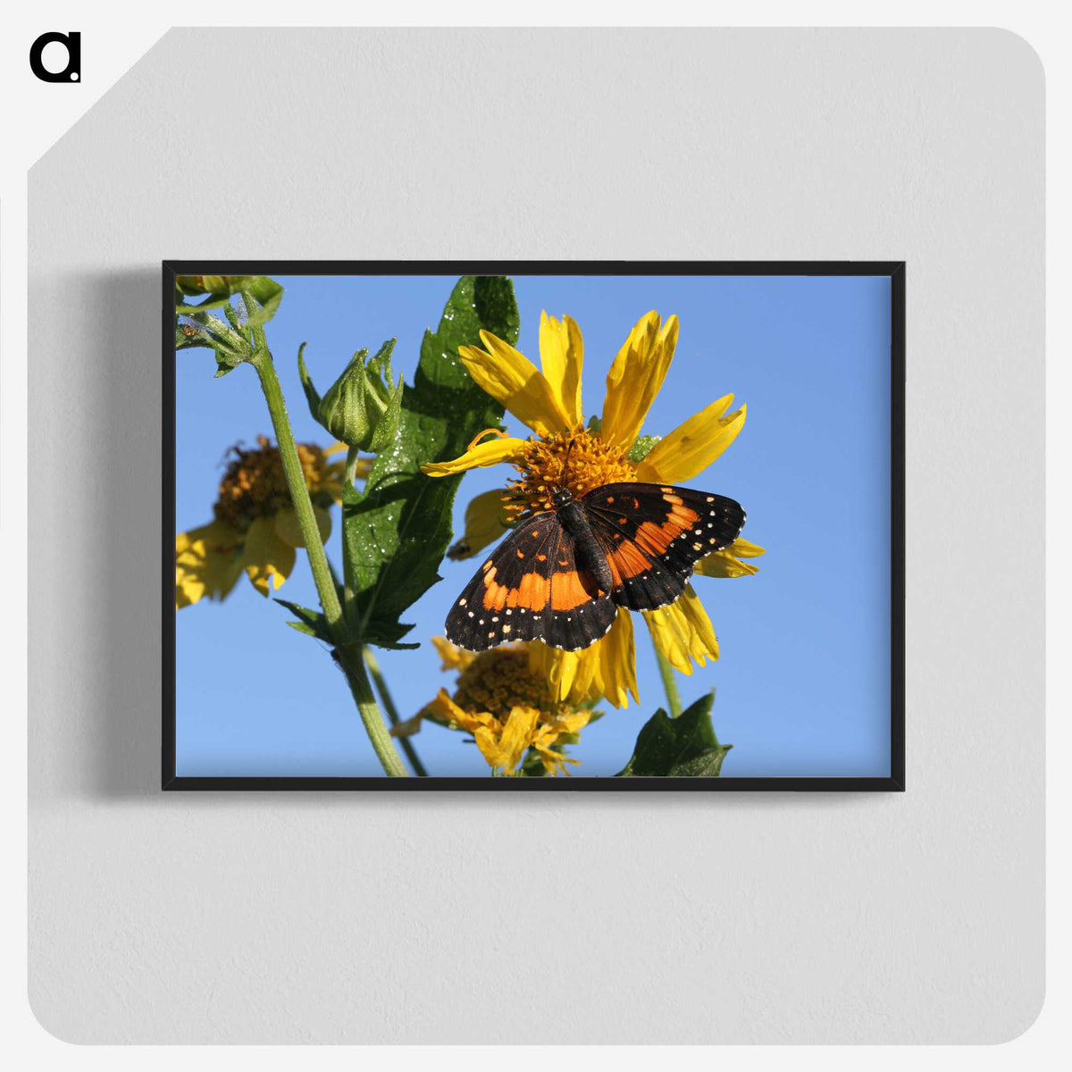 2-60_Insects-Unlocked-Project_blk-crop