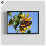 2-60_Insects-Unlocked-Project_blk-crop