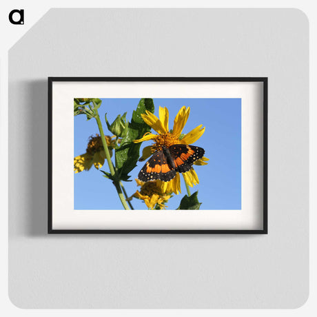 2-60_Insects-Unlocked-Project_blk