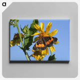 2-60_Insects-Unlocked-Project_canvas