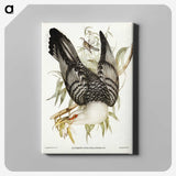 2-60_John-Gould_canvas