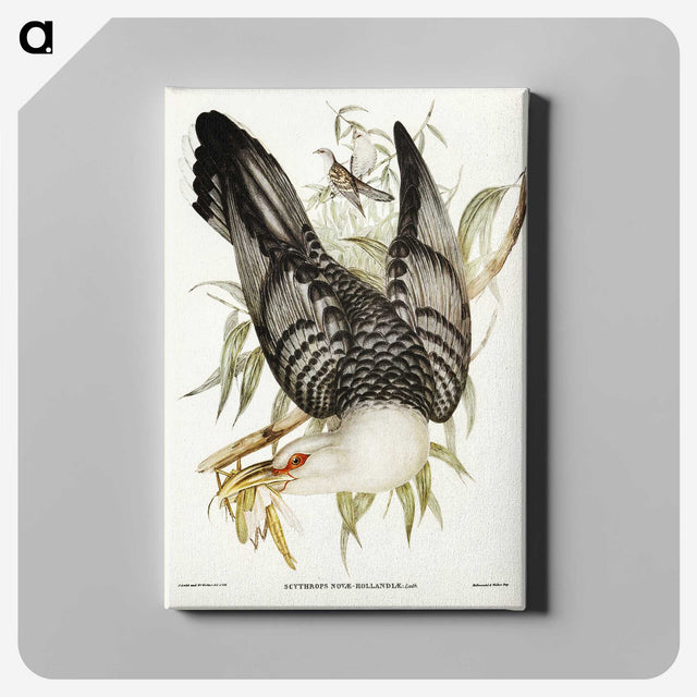 2-60_John-Gould_canvas