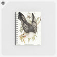 2-60_John-Gould_memo
