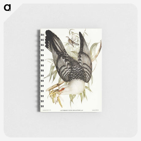 2-60_John-Gould_memo