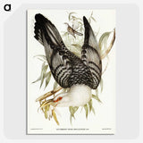 2-60_John-Gould_picture-crop