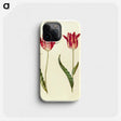 2-60_Maria-Sibylla-Merian_phone