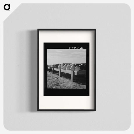 2-60_Marion-Post-Wolcott_blk