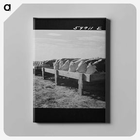 2-60_Marion-Post-Wolcott_canvas